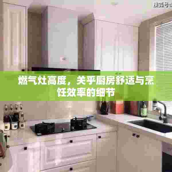 燃气灶高度，关乎厨房舒适与烹饪效率的细节