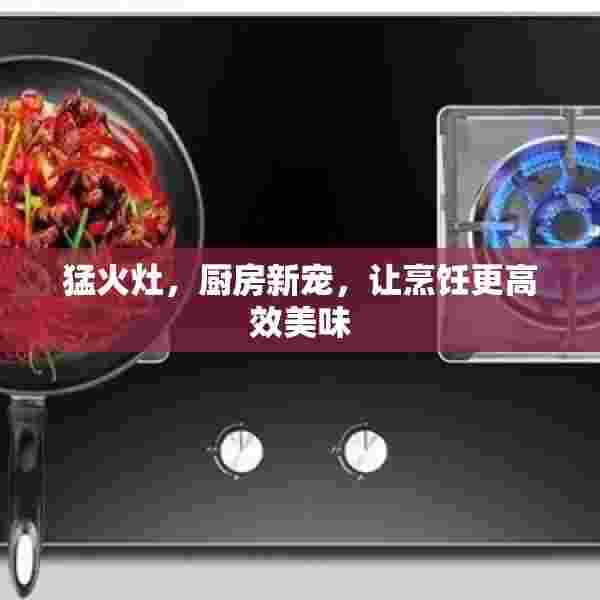 猛火灶，厨房新宠，让烹饪更高效美味