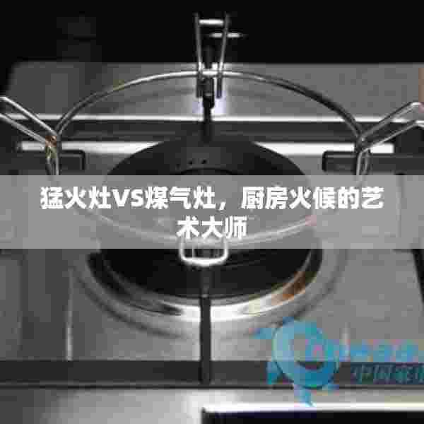 猛火灶VS煤气灶，厨房火候的艺术大师