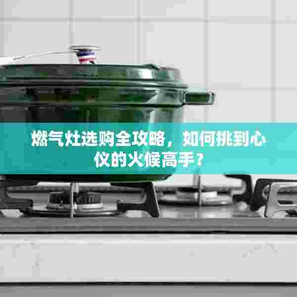燃气灶选购全攻略，如何挑到心仪的火候高手？