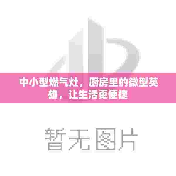 中小型燃气灶，厨房里的微型英雄，让生活更便捷
