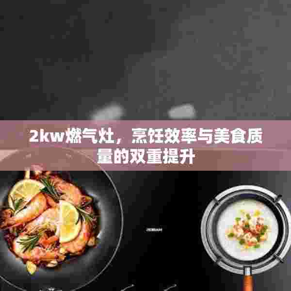 2kw燃气灶，烹饪效率与美食质量的双重提升