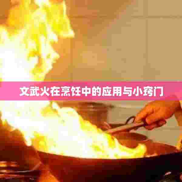 文武火在烹饪中的应用与小窍门