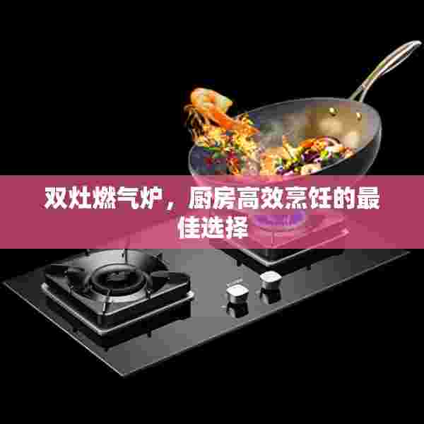 双灶燃气炉，厨房高效烹饪的最佳选择
