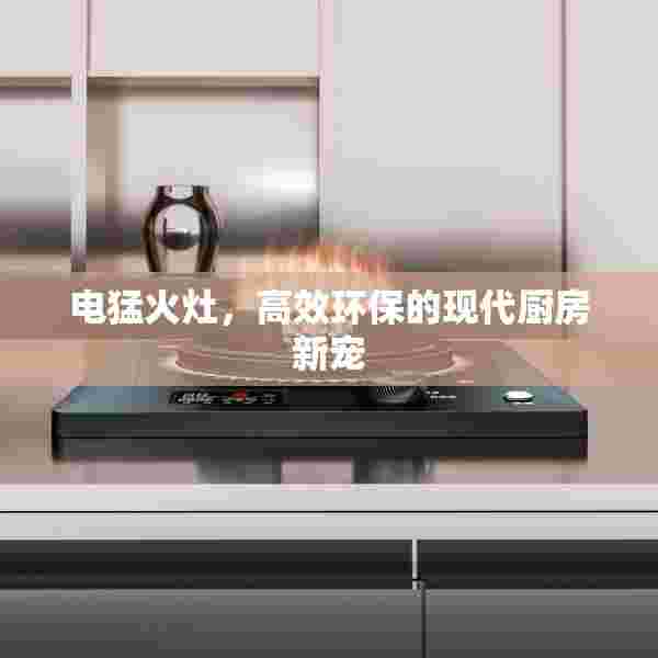 电猛火灶，高效环保的现代厨房新宠