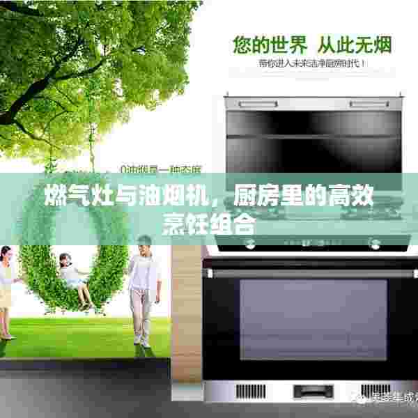 燃气灶与油烟机，厨房里的高效烹饪组合