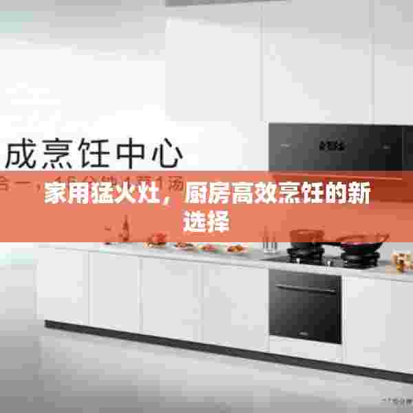家用猛火灶，厨房高效烹饪的新选择