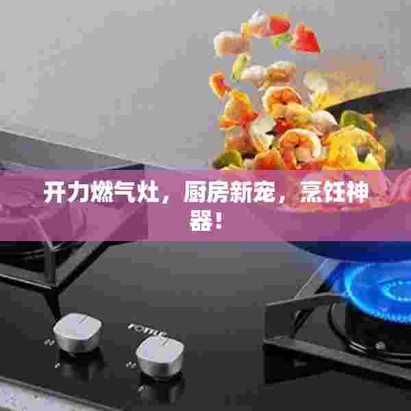开力燃气灶，厨房新宠，烹饪神器！