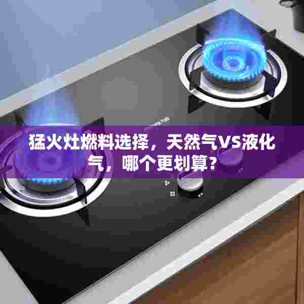 猛火灶燃料选择，天然气VS液化气，哪个更划算？