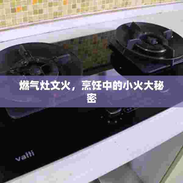 燃气灶文火，烹饪中的小火大秘密