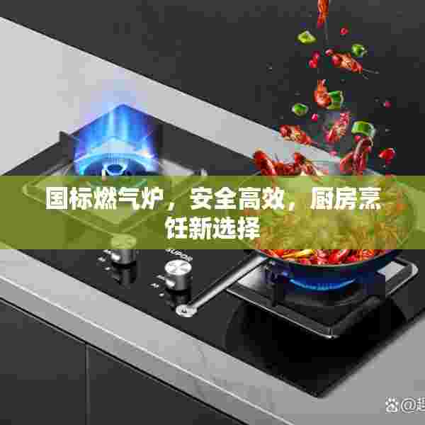 国标燃气炉，安全高效，厨房烹饪新选择