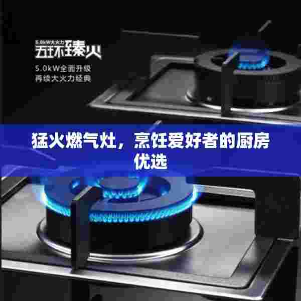 猛火燃气灶，烹饪爱好者的厨房优选
