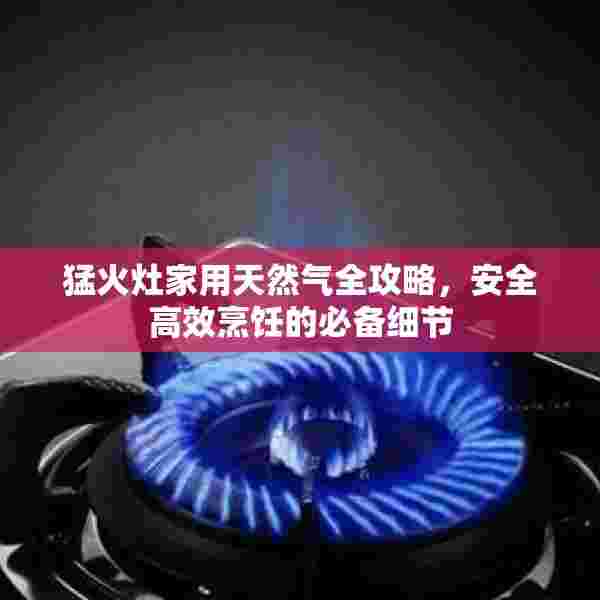 猛火灶家用天然气全攻略，安全高效烹饪的必备细节
