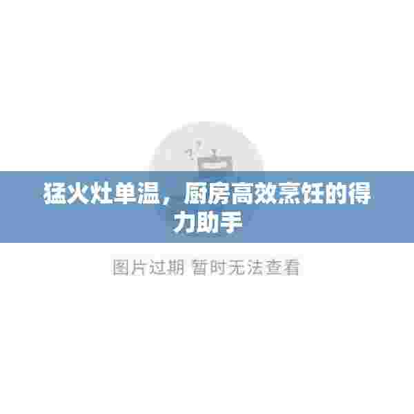 猛火灶单温，厨房高效烹饪的得力助手