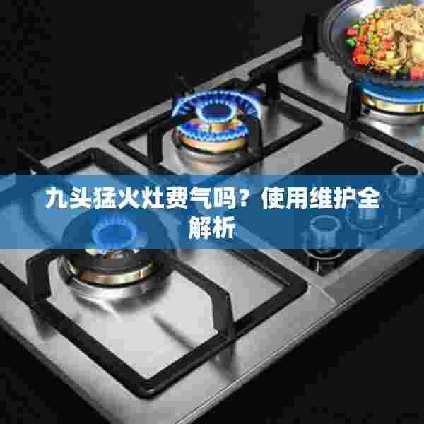 九头猛火灶费气吗？使用维护全解析