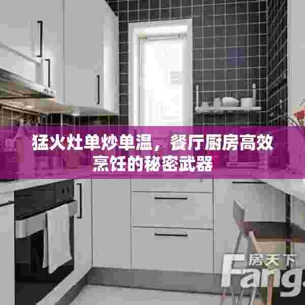 猛火灶单炒单温，餐厅厨房高效烹饪的秘密武器