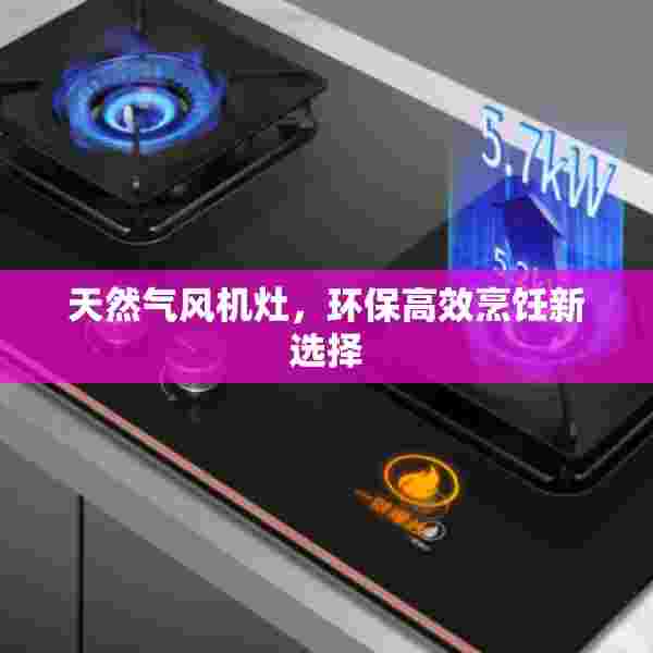 天然气风机灶，环保高效烹饪新选择