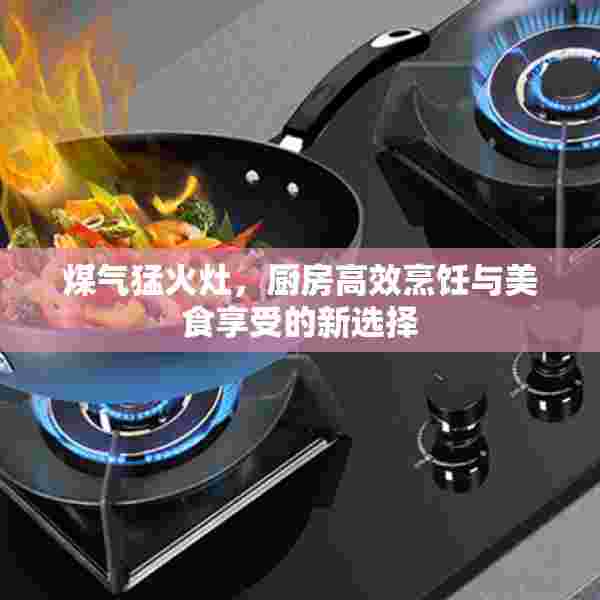 煤气猛火灶，厨房高效烹饪与美食享受的新选择
