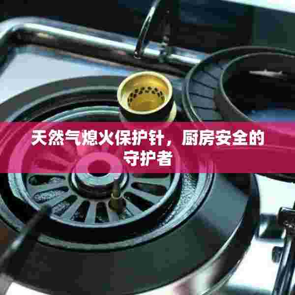 天然气熄火保护针，厨房安全的守护者