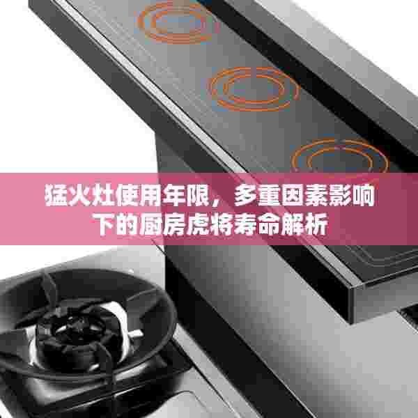 猛火灶使用年限，多重因素影响下的厨房虎将寿命解析