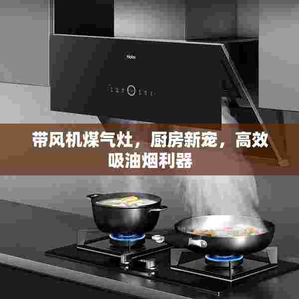 带风机煤气灶，厨房新宠，高效吸油烟利器
