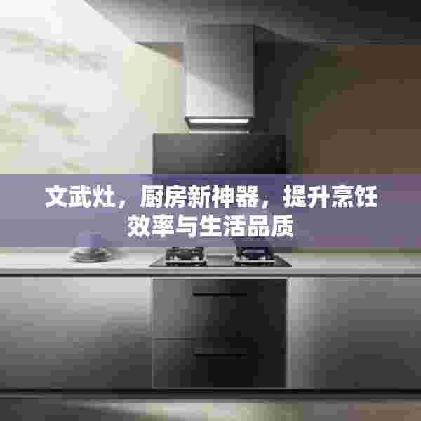 文武灶，厨房新神器，提升烹饪效率与生活品质