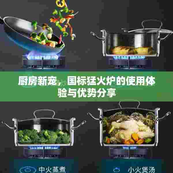 厨房新宠，国标猛火炉的使用体验与优势分享