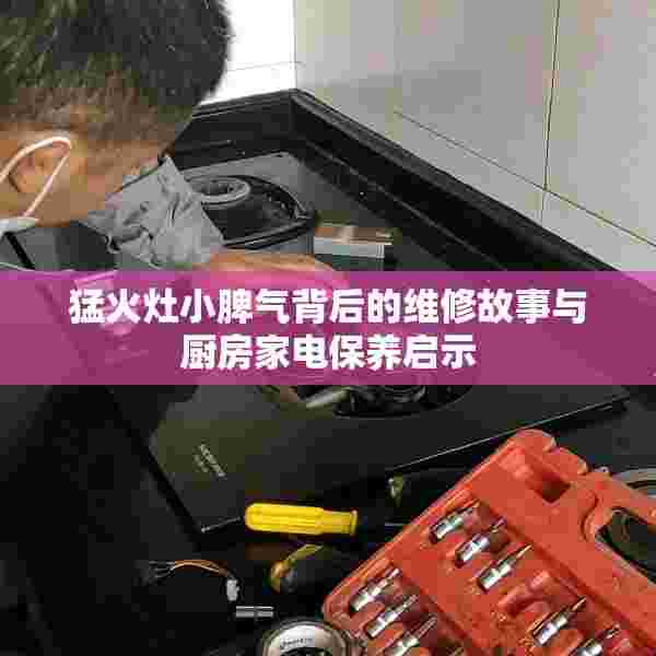 猛火灶小脾气背后的维修故事与厨房家电保养启示