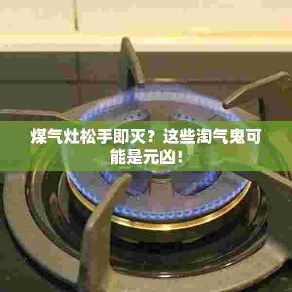 煤气灶松手即灭？这些淘气鬼可能是元凶！