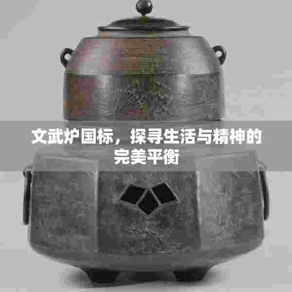 文武炉国标，探寻生活与精神的完美平衡