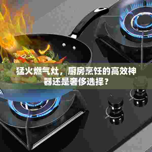 猛火燃气灶，厨房烹饪的高效神器还是奢侈选择？