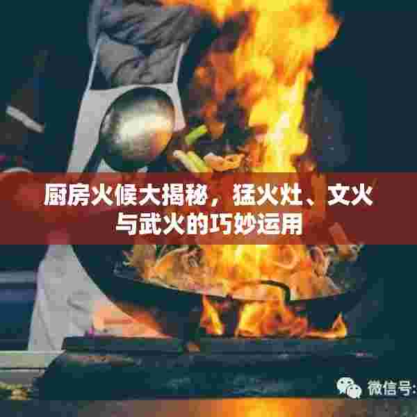 厨房火候大揭秘，猛火灶、文火与武火的巧妙运用