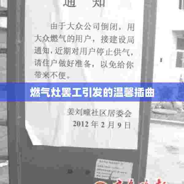 燃气灶罢工引发的温馨插曲