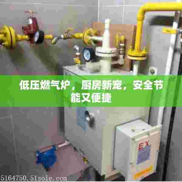 低压燃气炉，厨房新宠，安全节能又便捷