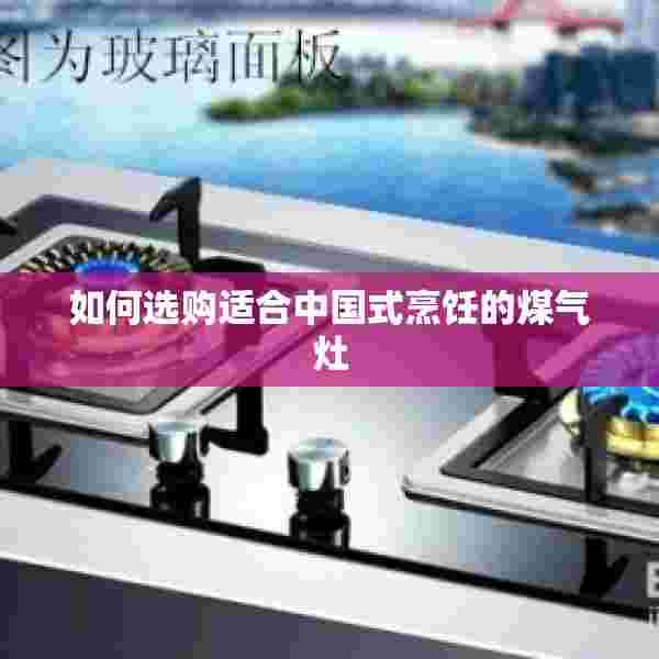 如何选购适合中国式烹饪的煤气灶