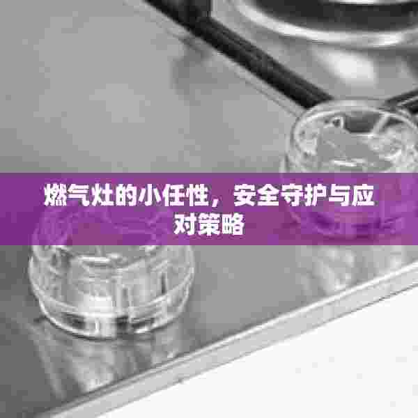 燃气灶的小任性，安全守护与应对策略