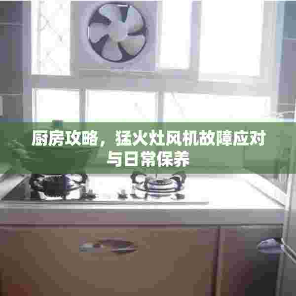 厨房攻略，猛火灶风机故障应对与日常保养