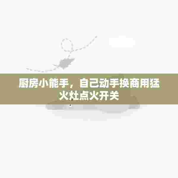 厨房小能手，自己动手换商用猛火灶点火开关