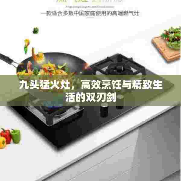 九头猛火灶，高效烹饪与精致生活的双刃剑
