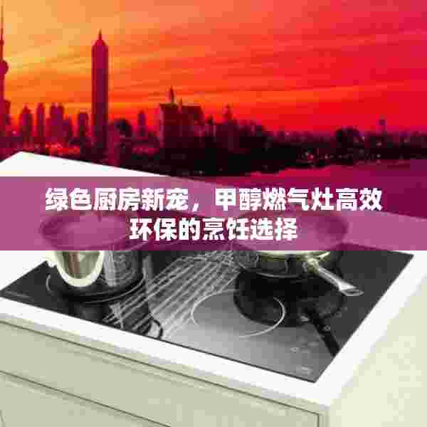 绿色厨房新宠，甲醇燃气灶高效环保的烹饪选择