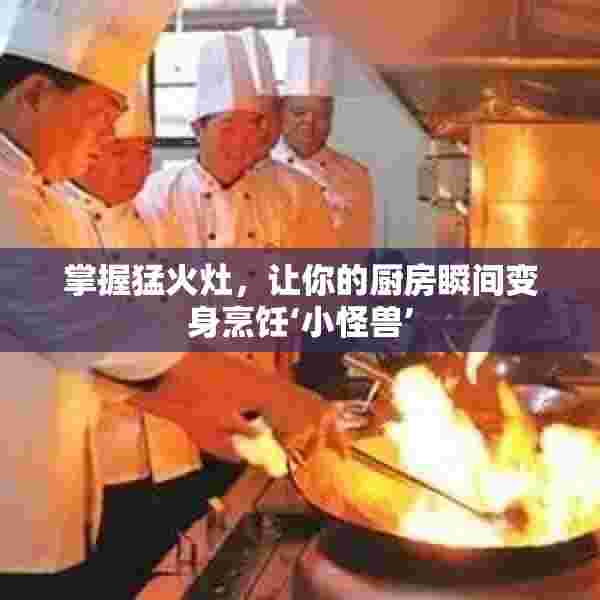 掌握猛火灶，让你的厨房瞬间变身烹饪‘小怪兽’
