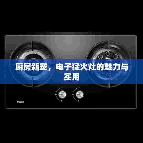 厨房新宠，电子猛火灶的魅力与实用
