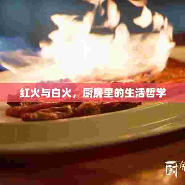 红火与白火，厨房里的生活哲学