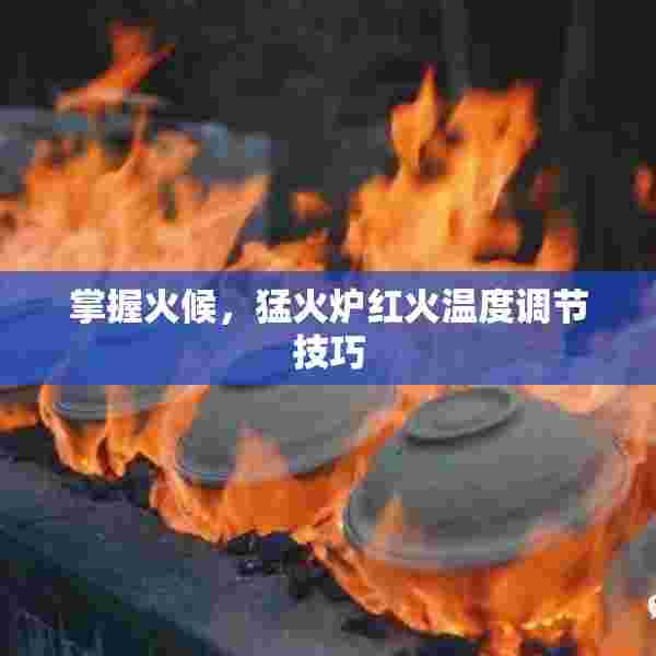 掌握火候，猛火炉红火温度调节技巧