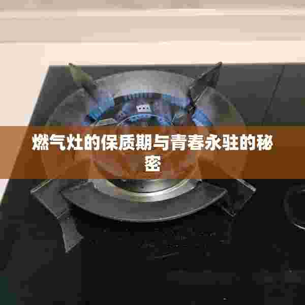 燃气灶的保质期与青春永驻的秘密