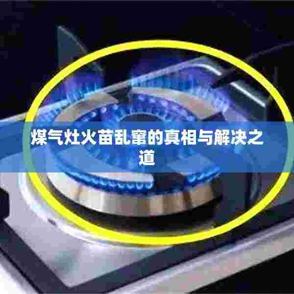煤气灶火苗乱窜的真相与解决之道