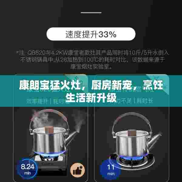 康朗宝猛火灶，厨房新宠，烹饪生活新升级