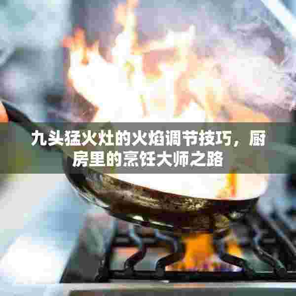 九头猛火灶的火焰调节技巧，厨房里的烹饪大师之路