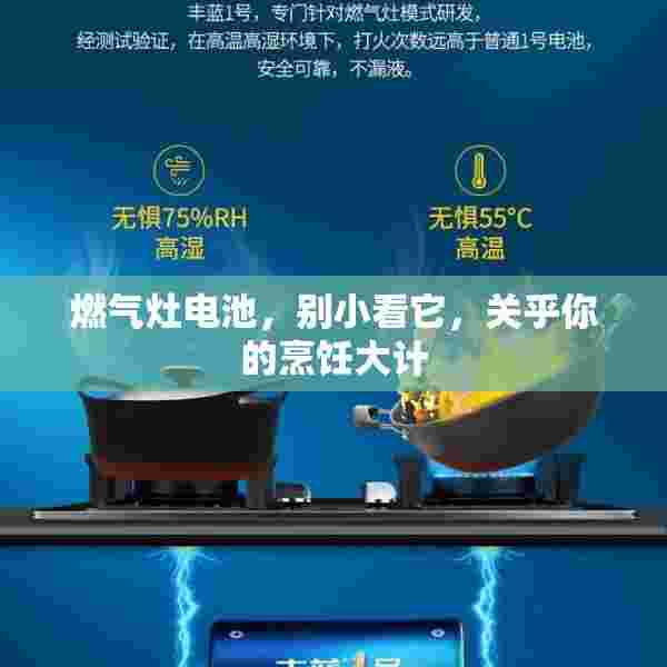 燃气灶电池，别小看它，关乎你的烹饪大计