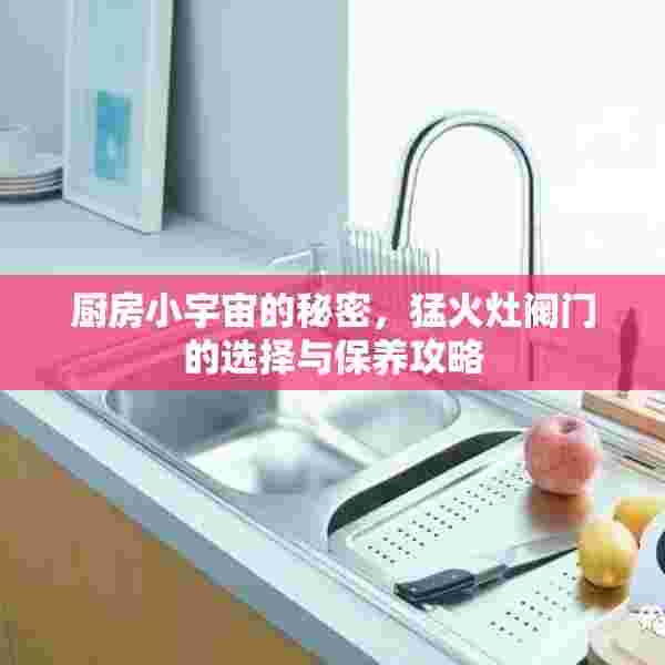厨房小宇宙的秘密，猛火灶阀门的选择与保养攻略